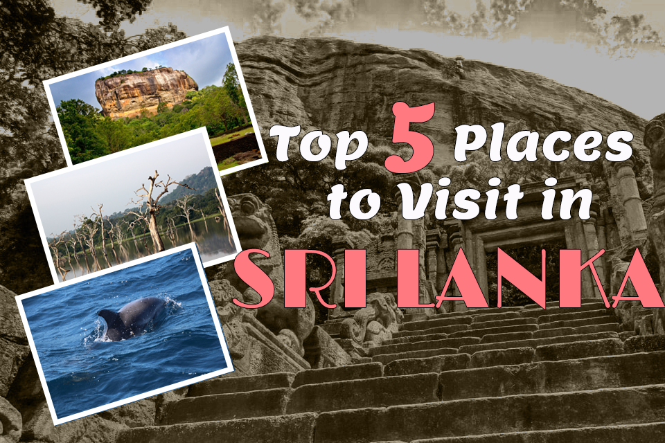 Top 5 Places to Visit in Sri Lanka in 2020