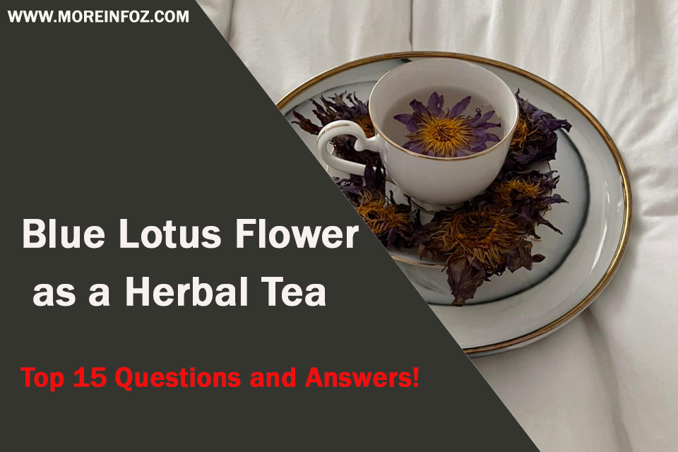 Blue Lotus Flower as a Herbal Tea – Top 15 Questions and Answers!