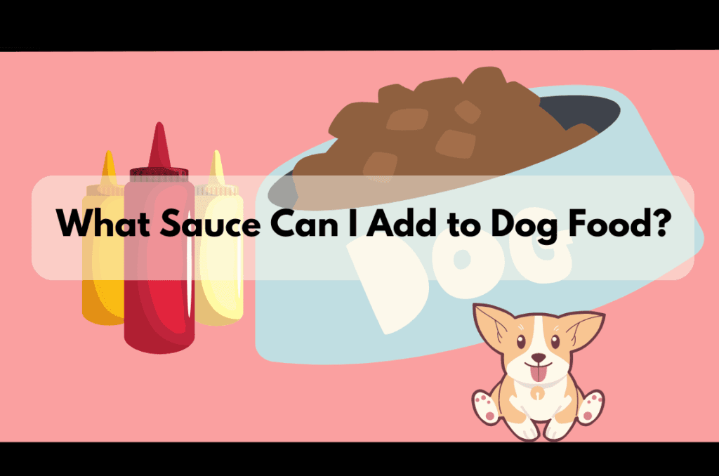 What Sauce Can I Add to Dog Food?