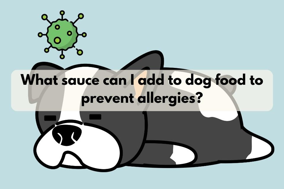 What sauce can I add to dog food to prevent allergies?