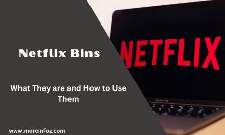 Netflix Bins: What They are and How to Use Them
