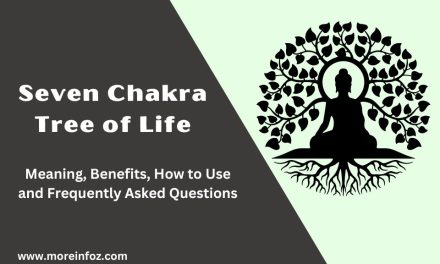 The Power of the Seven Chakra Tree of Life: A Guide to Spiritual World