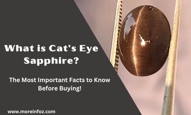 What is Cat’s Eye Sapphire? Important Facts to Know Before Buying!