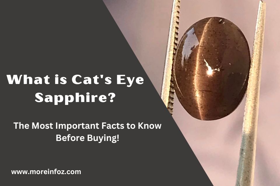 What is Cat’s Eye Sapphire? Important Facts to Know Before Buying!