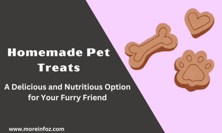 Homemade Pet Treats: A Delicious and Nutritious Option for Your Furry Friend