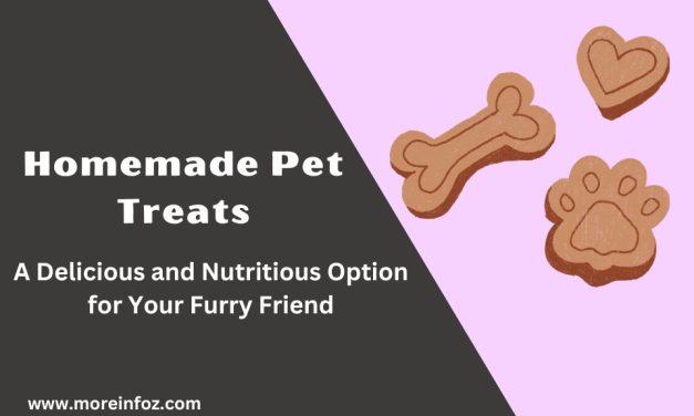 Homemade Pet Treats: A Delicious and Nutritious Option for Your Furry Friend