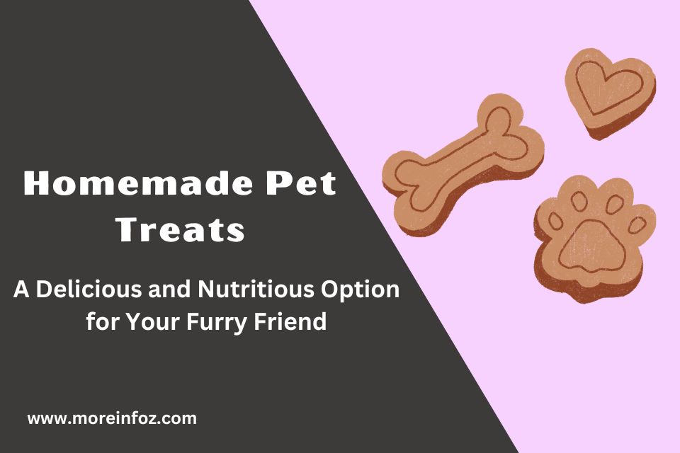 Homemade Pet Treats: A Delicious and Nutritious Option for Your Furry Friend