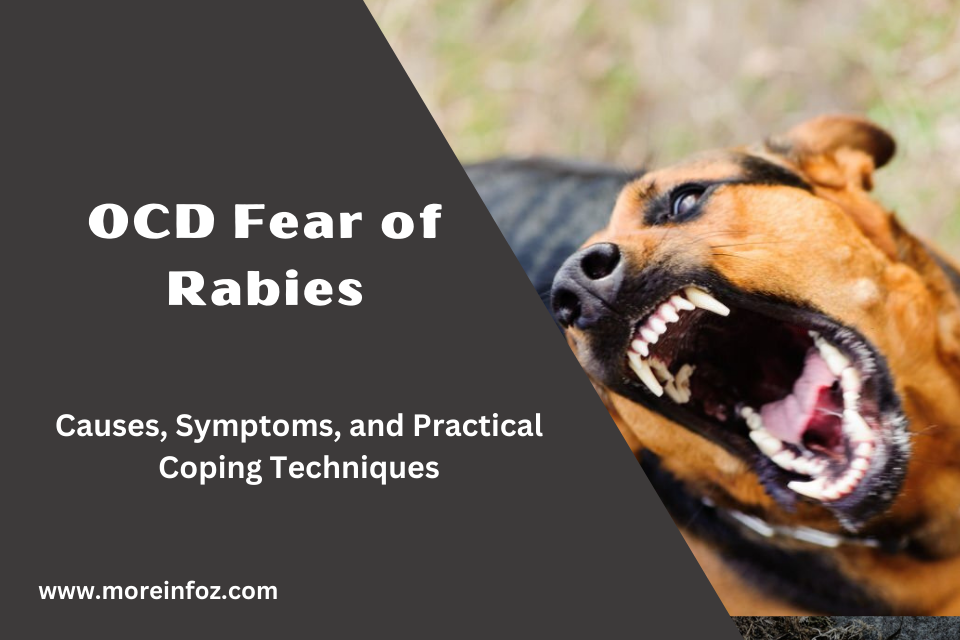 OCD Fear of Rabies: Causes, Symptoms, and Practical Coping Techniques for Overcoming Rabies-Related Obsessions