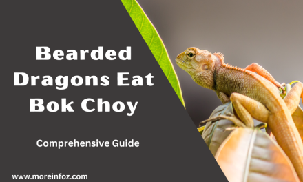 Can Bearded Dragons Eat Bok Choy? A Comprehensive Guide