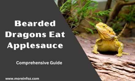 Can Bearded Dragons Eat Applesauce? A Comprehensive Guide