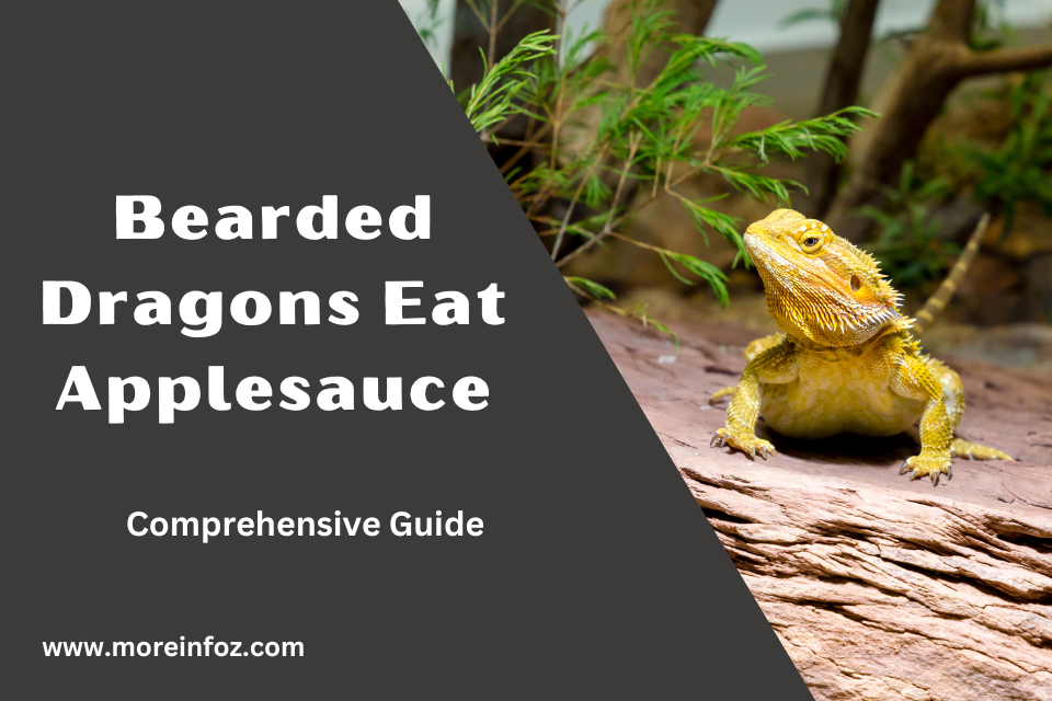 Can Bearded Dragons Eat Applesauce? A Comprehensive Guide
