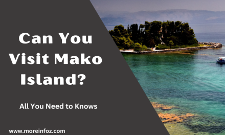 Can You Visit Mako Island? All You Need to Know