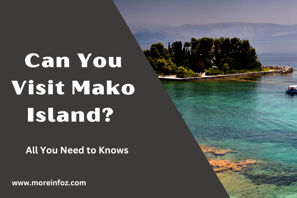 Can You Visit Mako Island? All You Need to Know