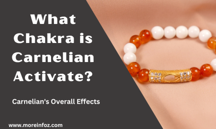 What Chakra is Carnelian Activate?