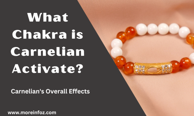 What Chakra is Carnelian Activate?