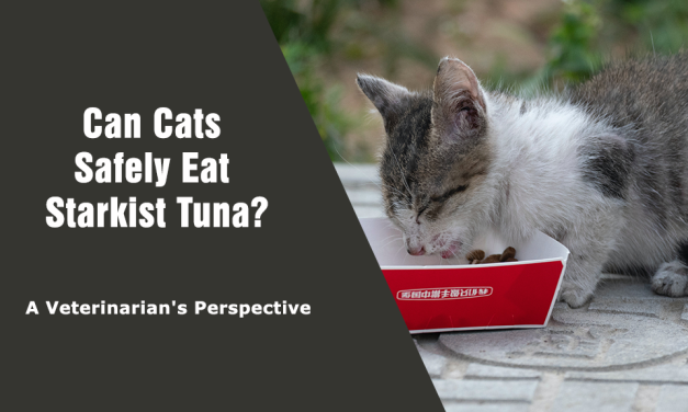 Can Cats Safely Eat Starkist Tuna? A Veterinarian’s Perspective