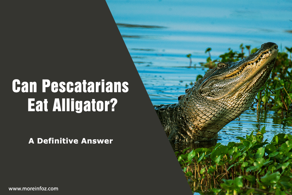 Can Pescatarians Eat Alligator? A Definitive Answer