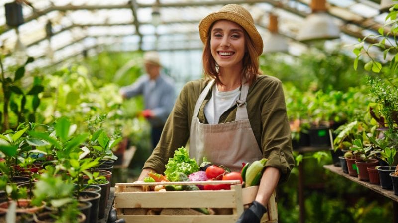 30‑Day Launch Plan