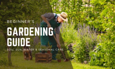 Beginner’s Gardening Guide: Soil, Sun, Water & Seasonal Care