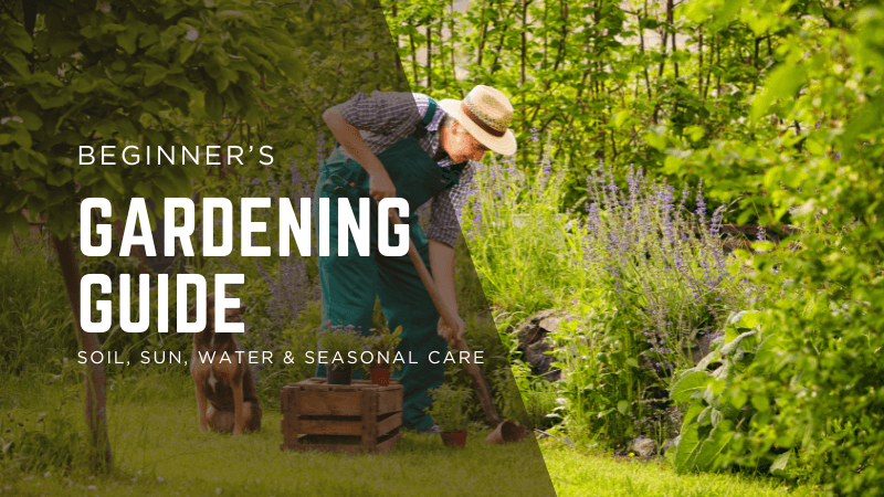 Beginner’s Gardening Guide: Soil, Sun, Water & Seasonal Care