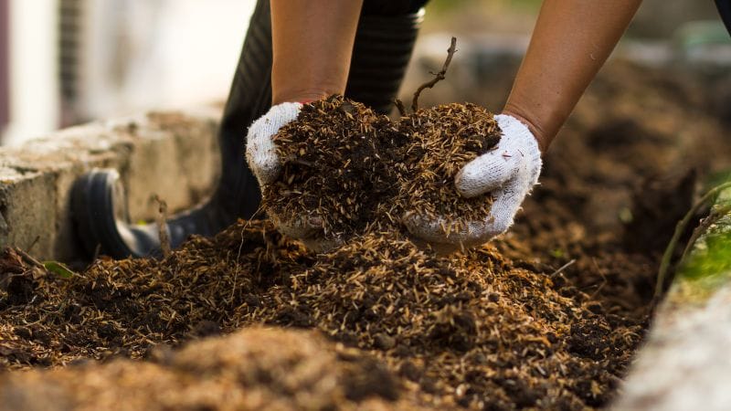 Composting 101