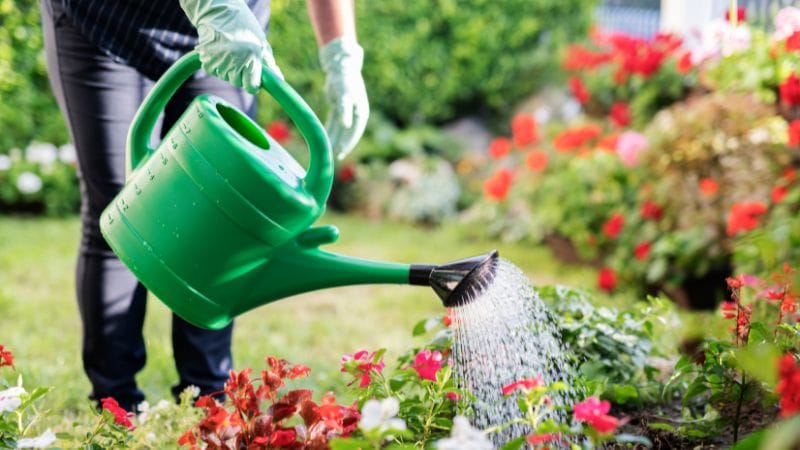 Garden Watering Schedules by Season