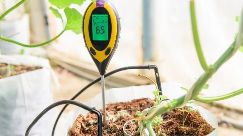 Garden pH Meters