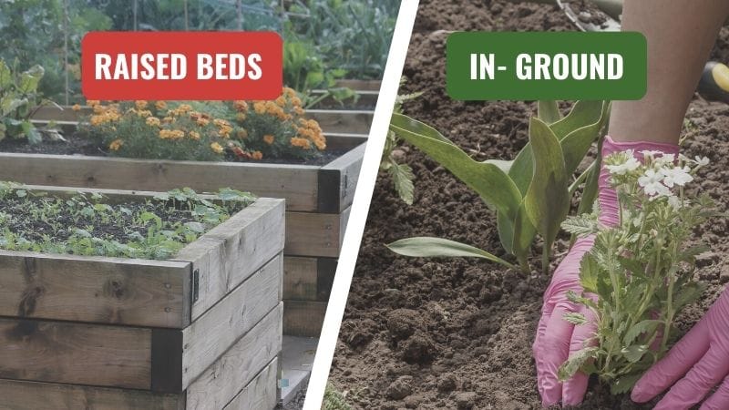 Containers & Raised Beds vs In‑Ground