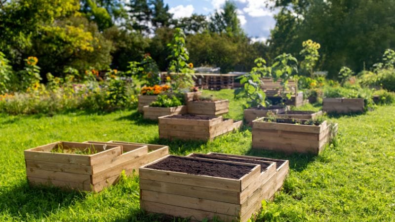 A Small Suburban Bed