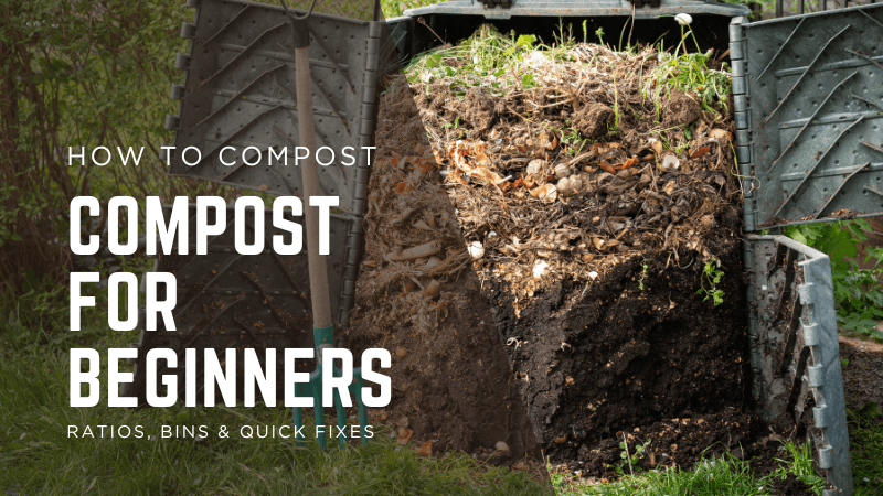 How to Compost: Compost for Beginners — Ratios, Bins & Quick Fixes