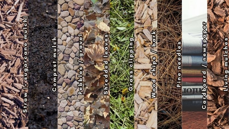 Mulch Types Side‑by‑Side Comparison