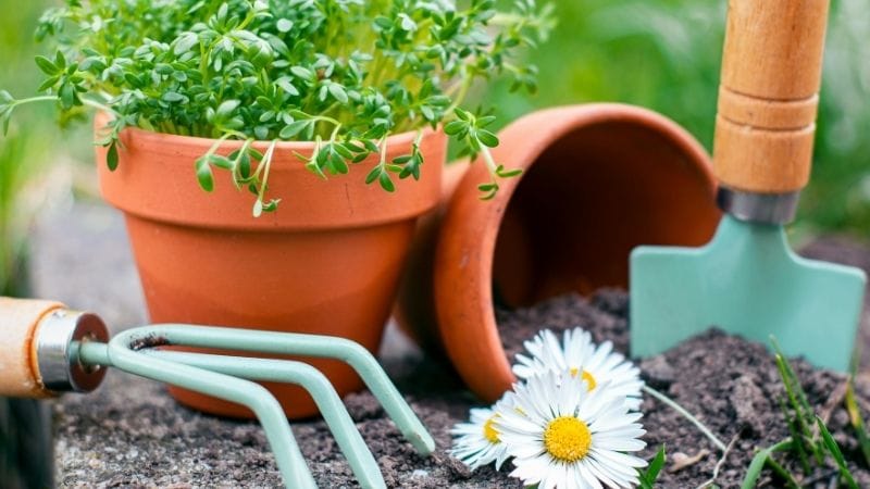 Seasonal Tool Care Checklist