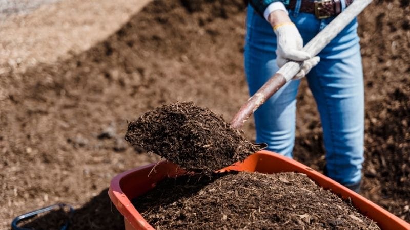 Using Finished Compost