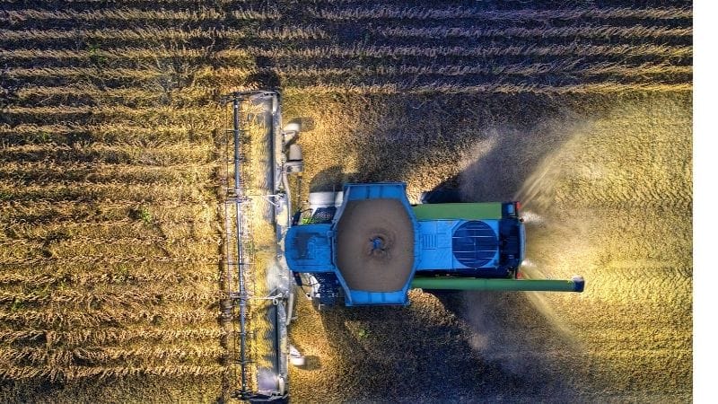 Indicative Timing by Crop