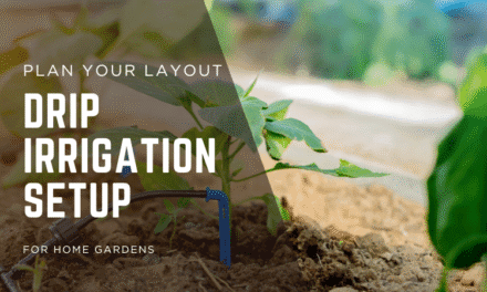 Drip Irrigation Setup for Home Gardens