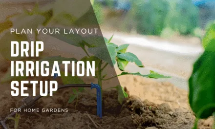 Drip Irrigation Setup for Home Gardens
