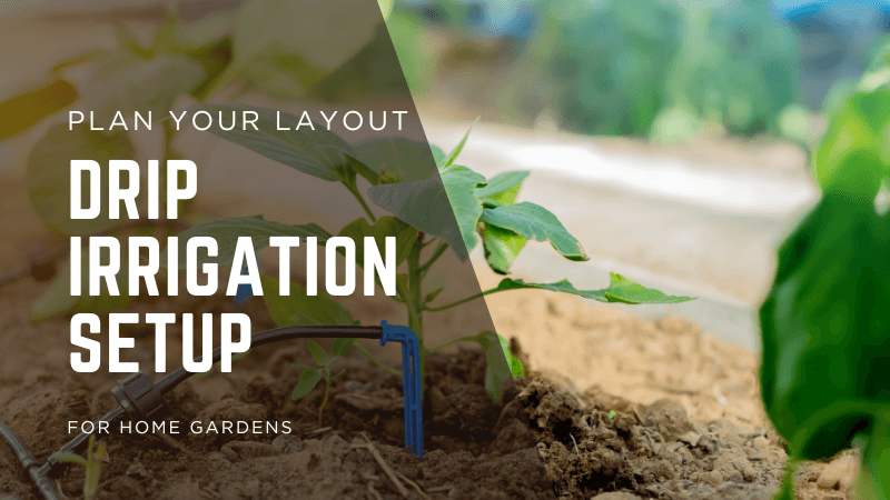Drip Irrigation Setup for Home Gardens