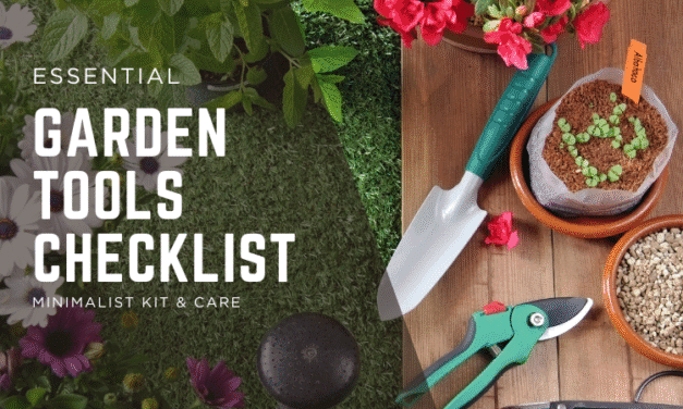 Essential Garden Tools Checklist: Minimalist Kit & Care
