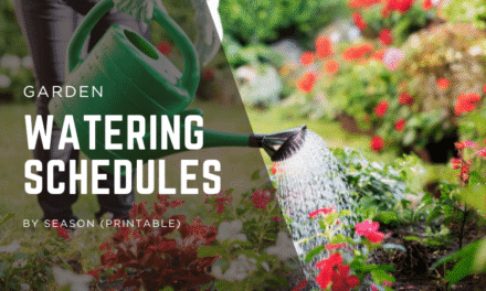 Garden Watering Schedules by Season (Printable)