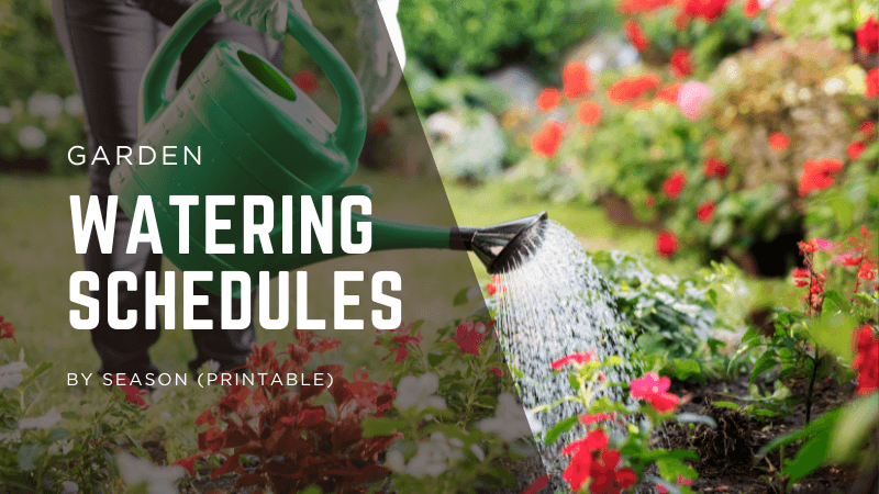 Garden Watering Schedules by Season (Printable)