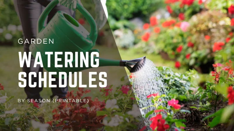 Garden Watering Schedules by Season (Printable)