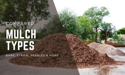 Mulch Types Compared: Bark, Straw, Pebbles & More