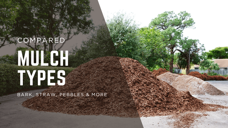 Mulch Types Compared: Bark, Straw, Pebbles & More