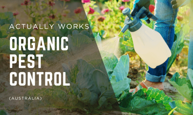Organic Pest Control That Actually Works (Australia)