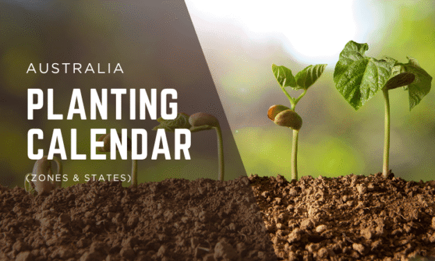 Planting Calendar for Australia (Zones & States)