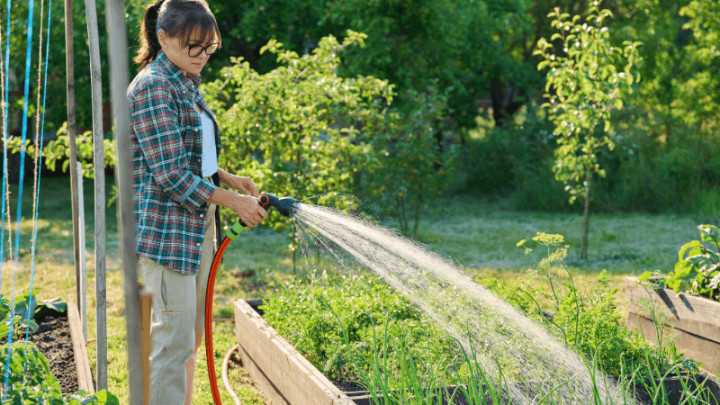 Raised Bed Watering