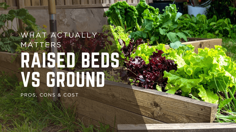 Raised Beds vs Ground: Pros, Cons & Cost