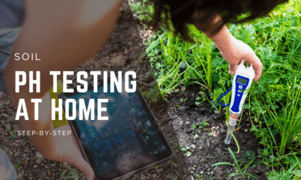 Soil pH Testing at Home: Step‑by‑Step