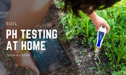 Soil pH Testing at Home: Step‑by‑Step