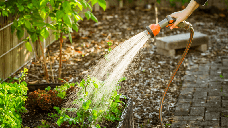 simple rules that scale for herbs